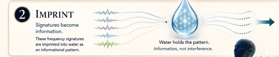 Step 2 — Imprint: frequency signatures are imprinted into water as an informational pattern